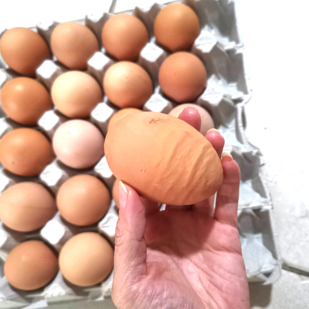 [Fresh]-Wonderwander-Forest-Raised-Extra-Large-Eggs,-12pcs,-approx.-900g-1