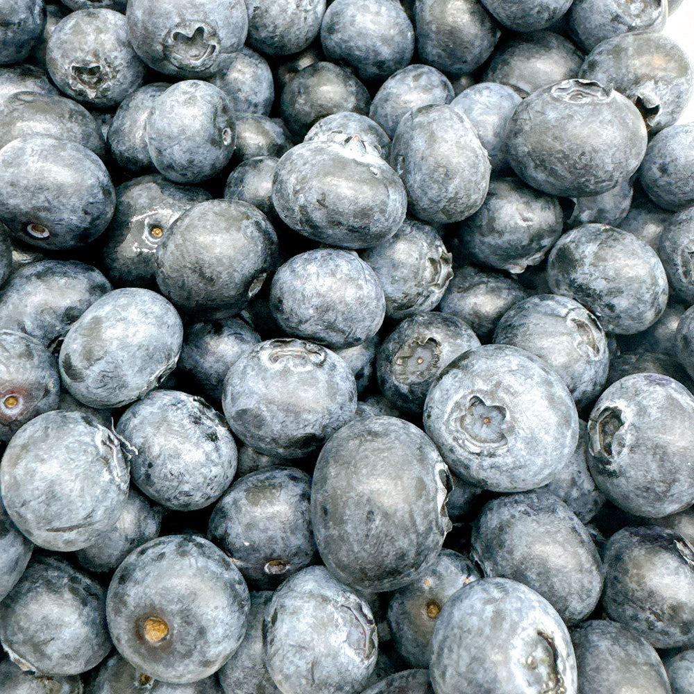 Betty-Blues-Blueberries---500g-1