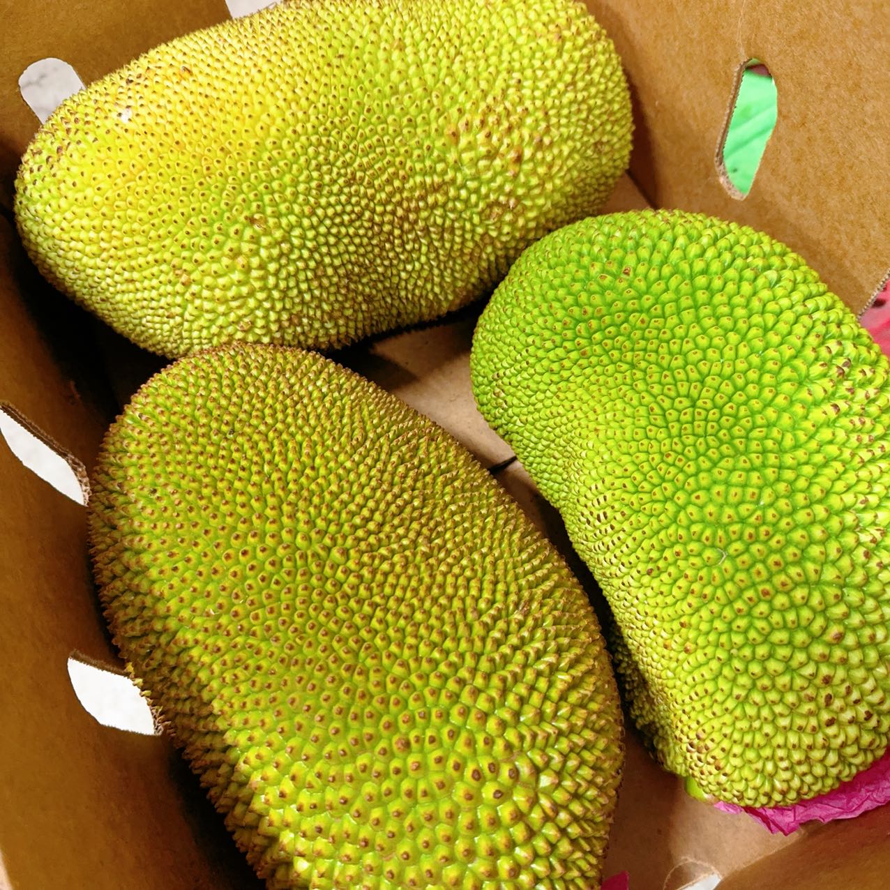 ¡¾Fresh¡¿Umall-Own-Brand-Jackfruit---1-Piece-Approximately-2Kg-1