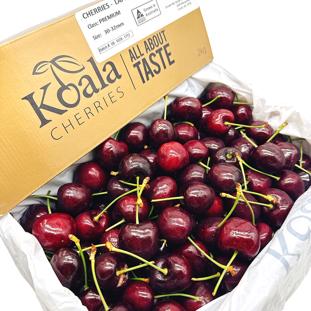 Koala-Premium-Cherries-Gift-Box-30-32mm---2kg-1