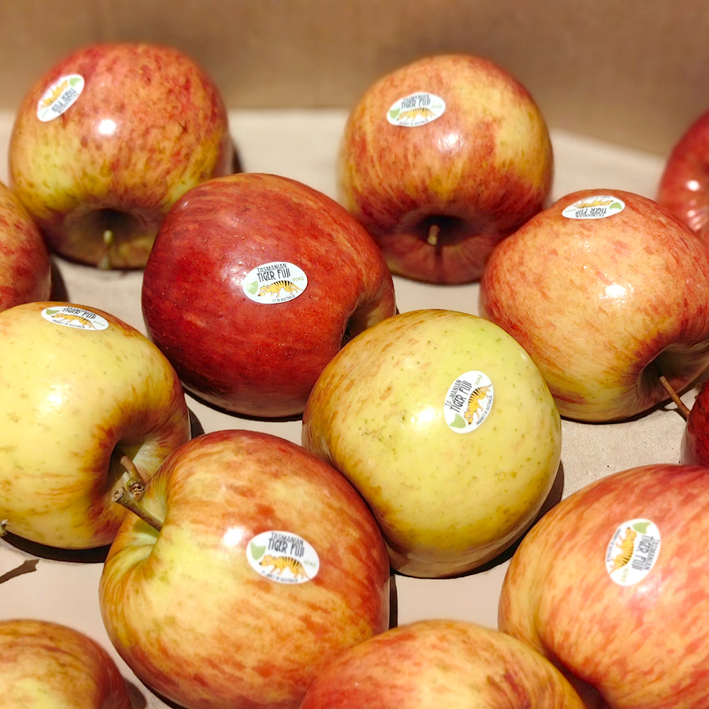 Tasmanian-Tiger-Fuji-Apples---1-1.1kg-1