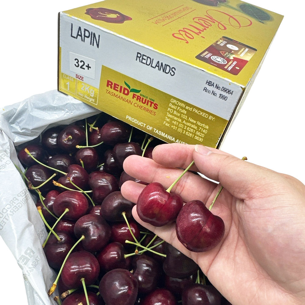 Reid-Fruits-Tasmanian-Lapin-Cherries-Gift-Box---32mm+-2kg-1