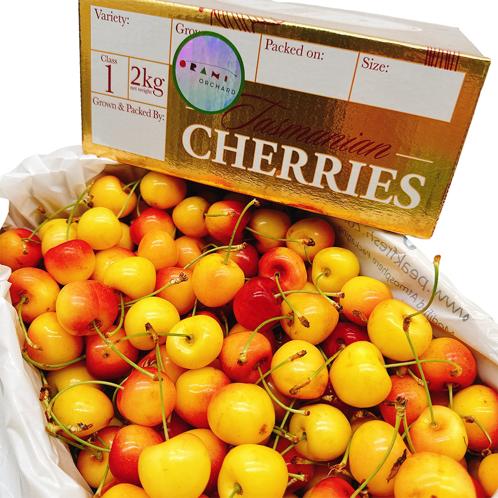 Tasmanian-White-Cherries-Gift-Box---2kg-1