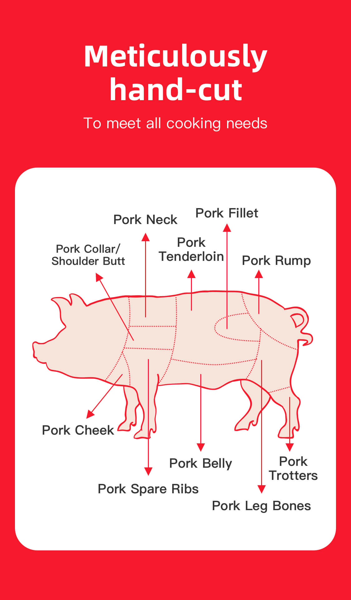 Frozen Lean Pork - 500g