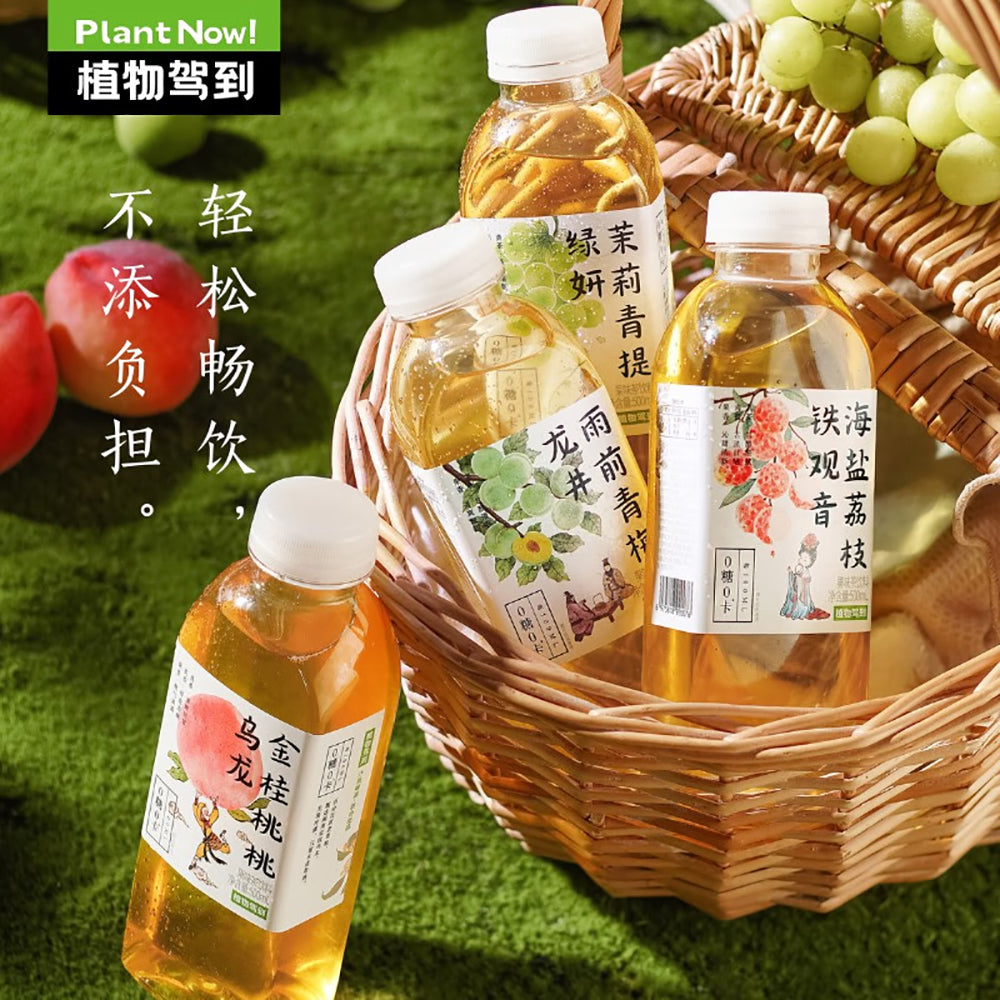 Plant-Arrival-Rain-Pre-Qingmei-Longjing-Tea,-Zero-Sugar,-Zero-Calorie---500ml-1