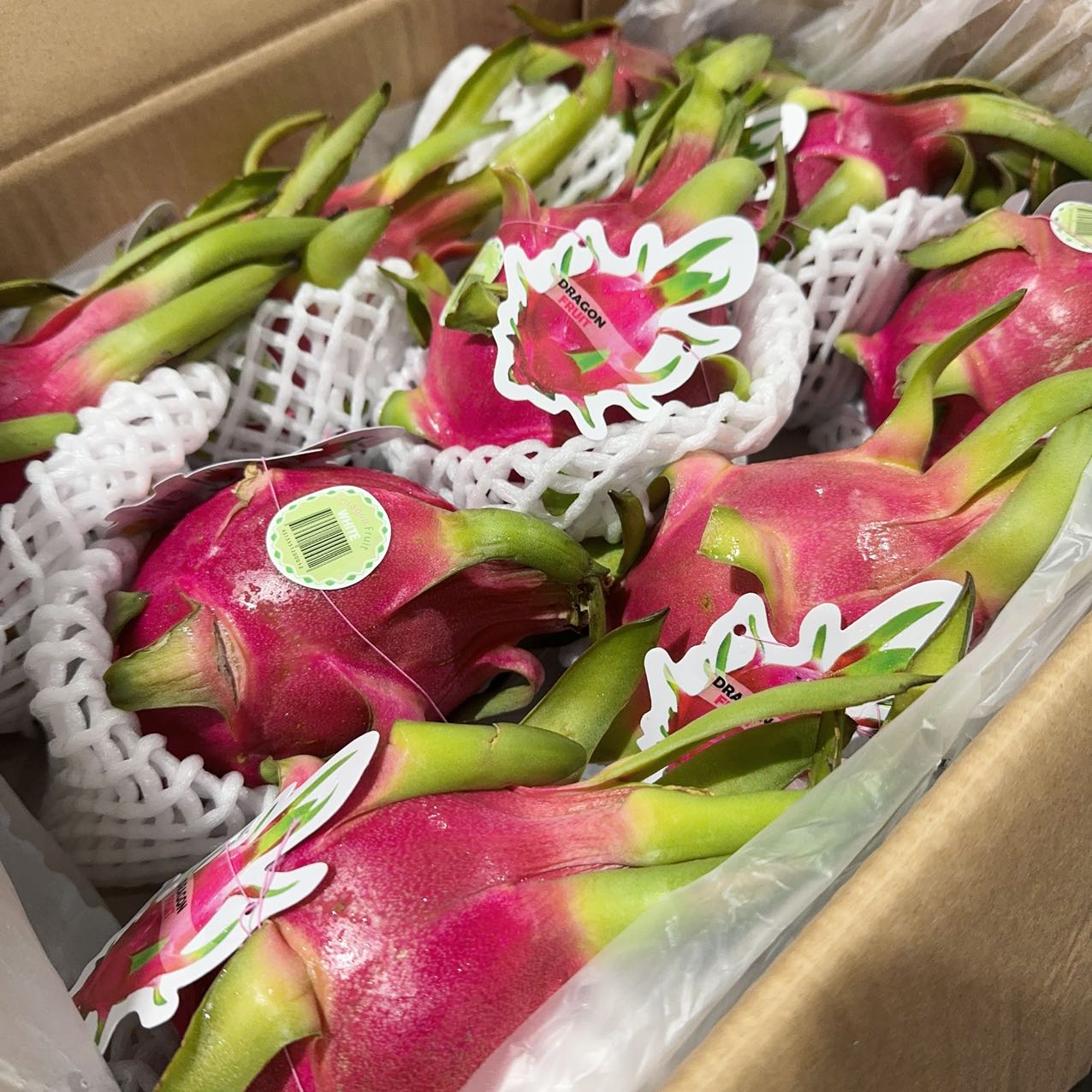 White Heart Dragon Fruit - 1 Piece