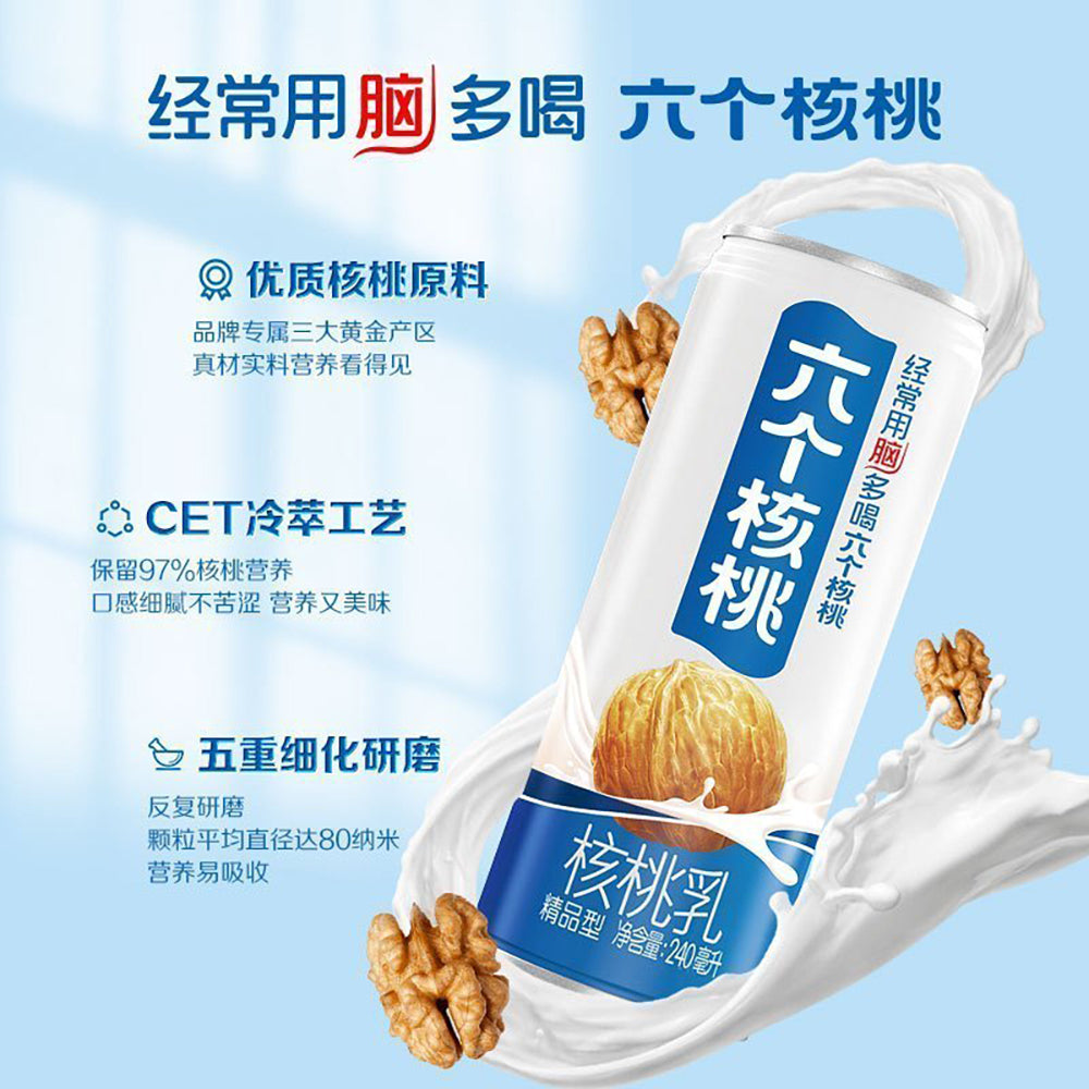 Six-Walnuts-Walnut-Milk---240ml-x-20-Bottles-1