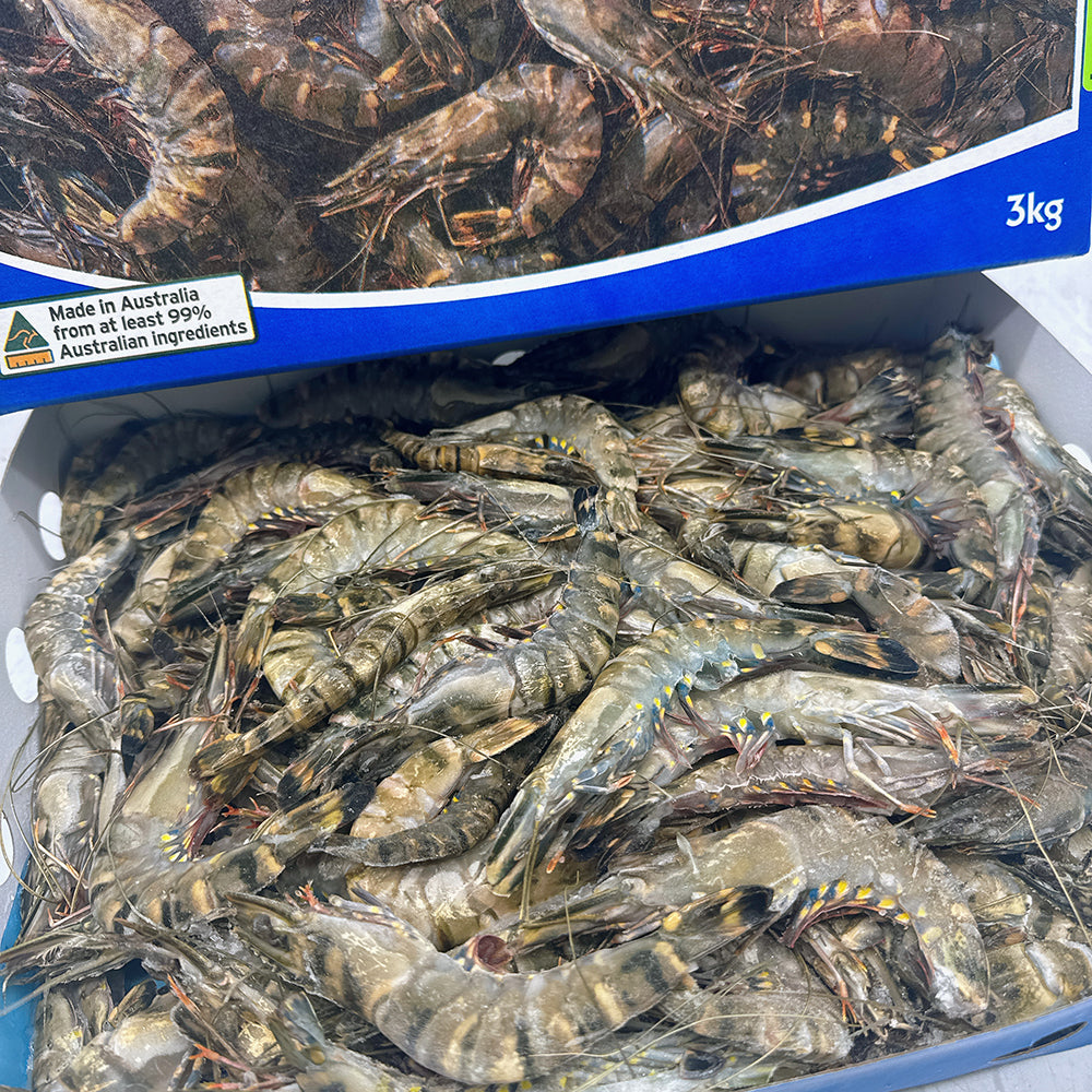 Tassal-Frozen-Raw-Black-Tiger-Prawns-M-Size-21/30---3kg-1