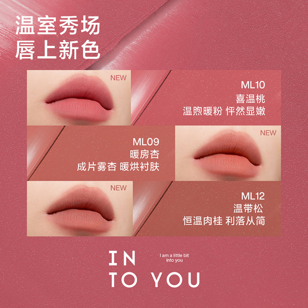 INTO-YOU-Matte-Lipstick-#ML08-1