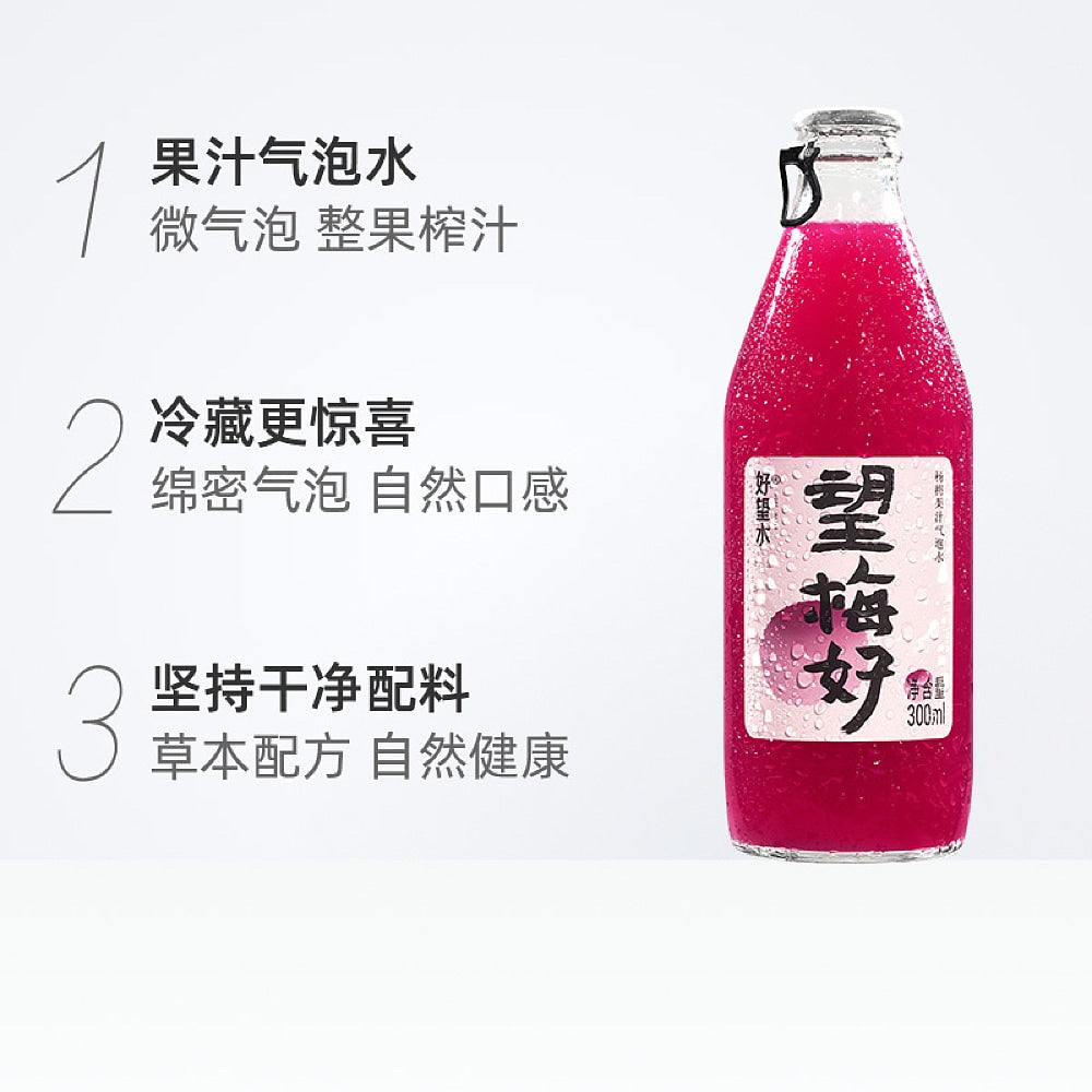 Haowangshui-Yangmei-Sparkling-Juice---300ml-1