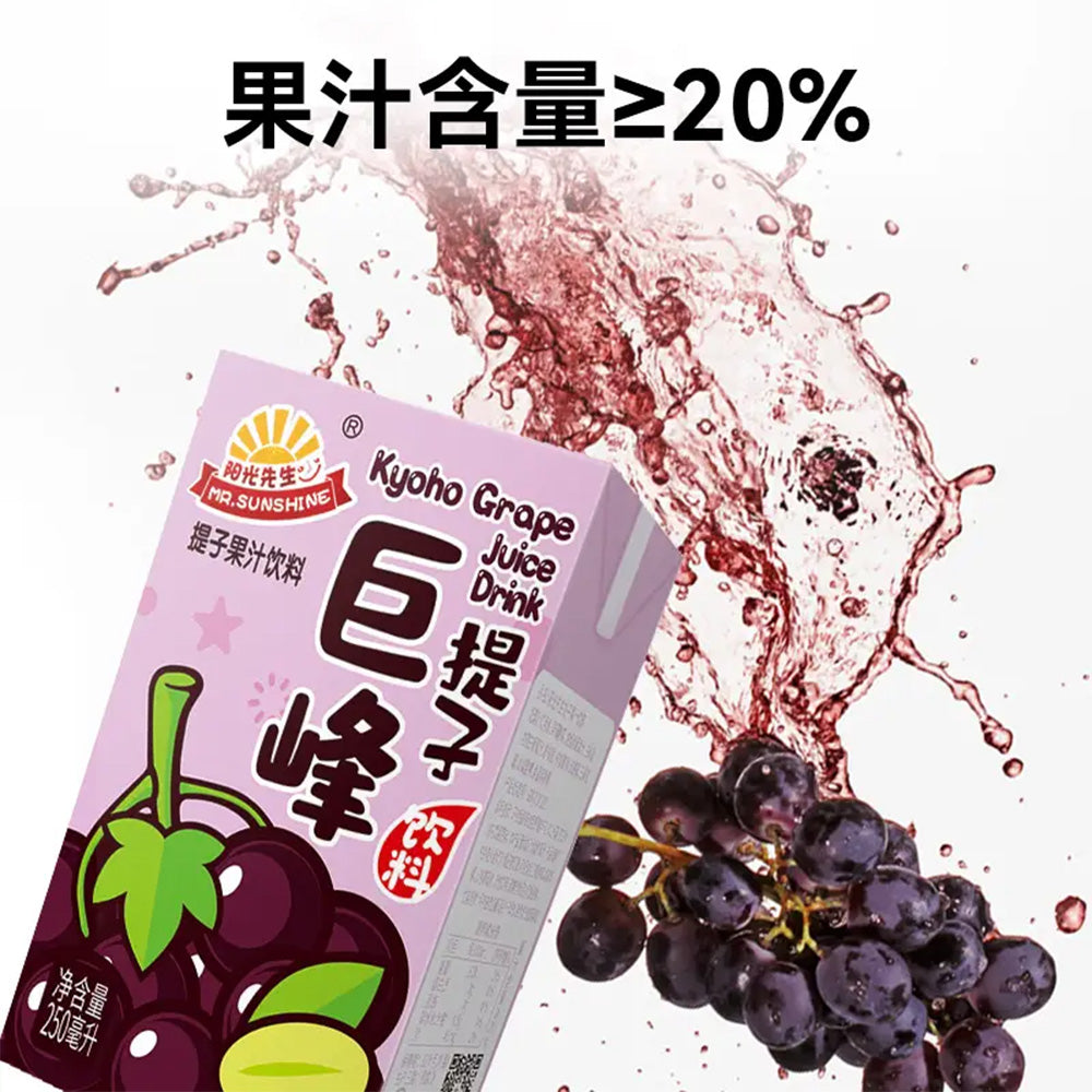 [Full-Case]-Mr.-Sunshine-Kyoho-Grape-Juice-250ml*24-1