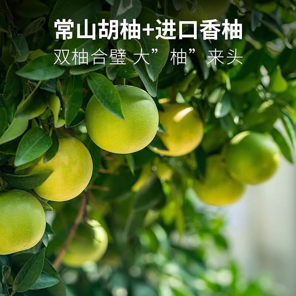 Wanglaoji-Double-Grapefruit-Juice---300ml-1