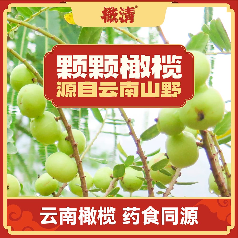 Ganqing-Jasmine-Olive-Juice-Drink---330ml-1