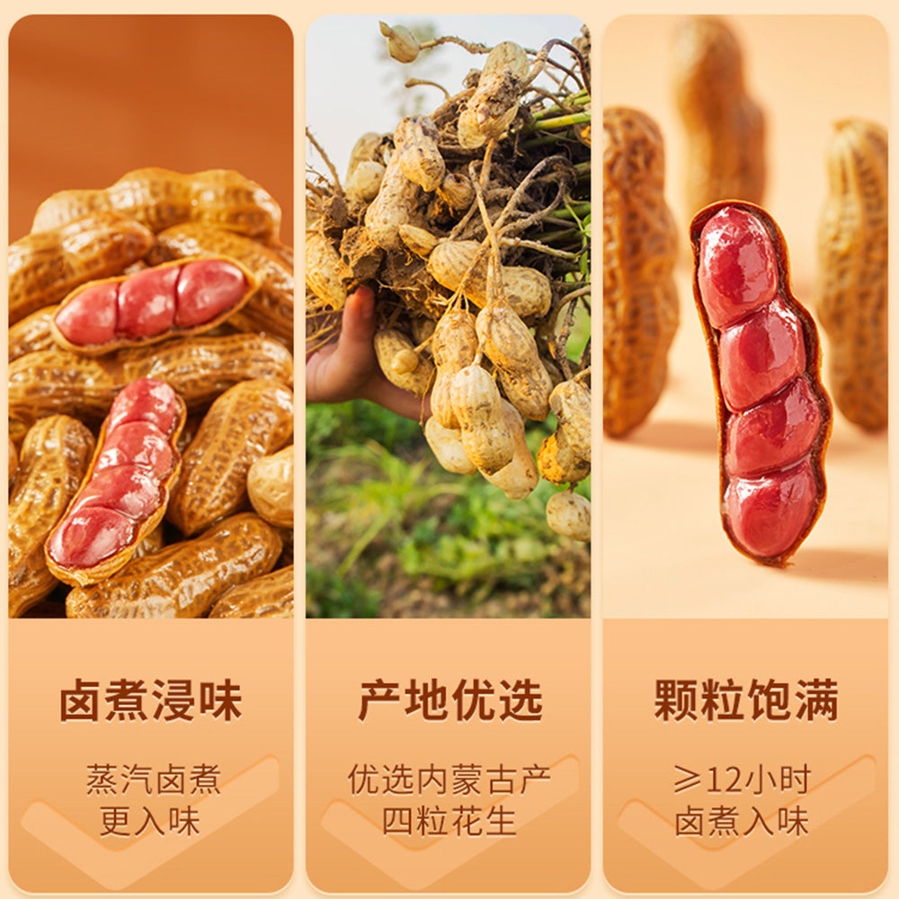 Bestore-Braised-Peanuts---268g-1