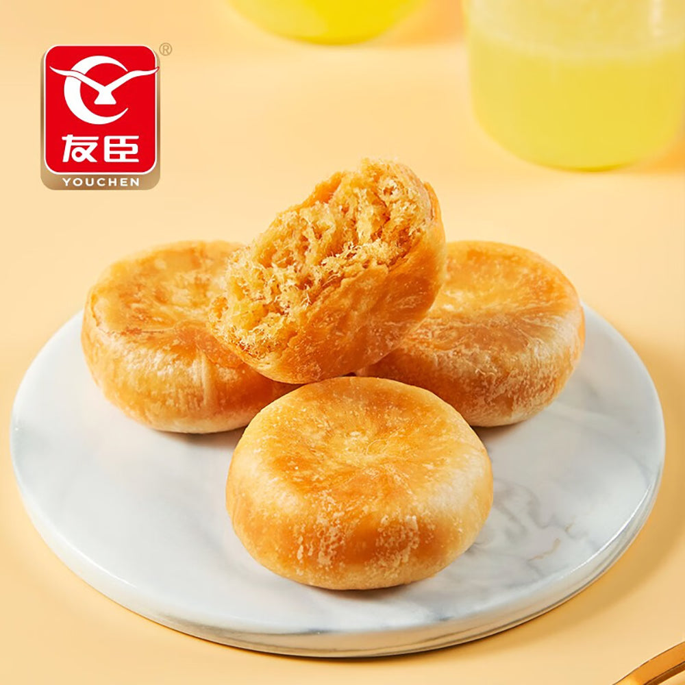 Youchen-Chicken-Meat-Floss-Cake---525g-1