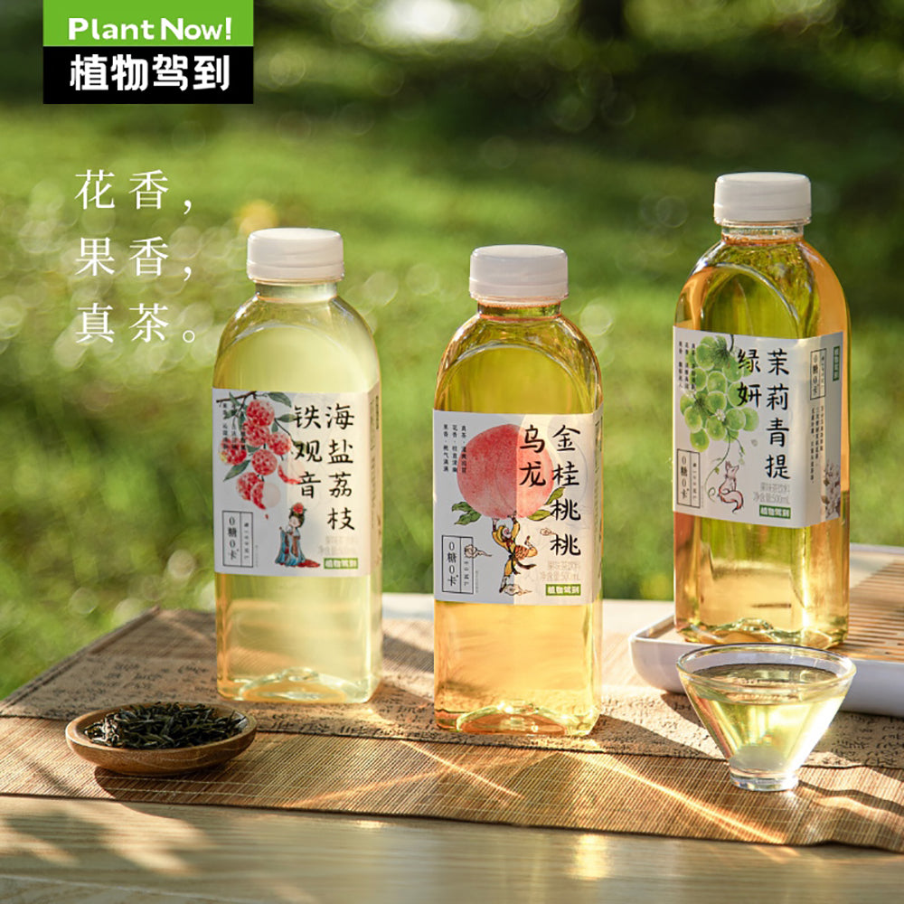 Plant-Now-Golden-Osmanthus-Peach-Oolong-Tea,-Zero-Sugar,-Zero-Calorie---500ml-1