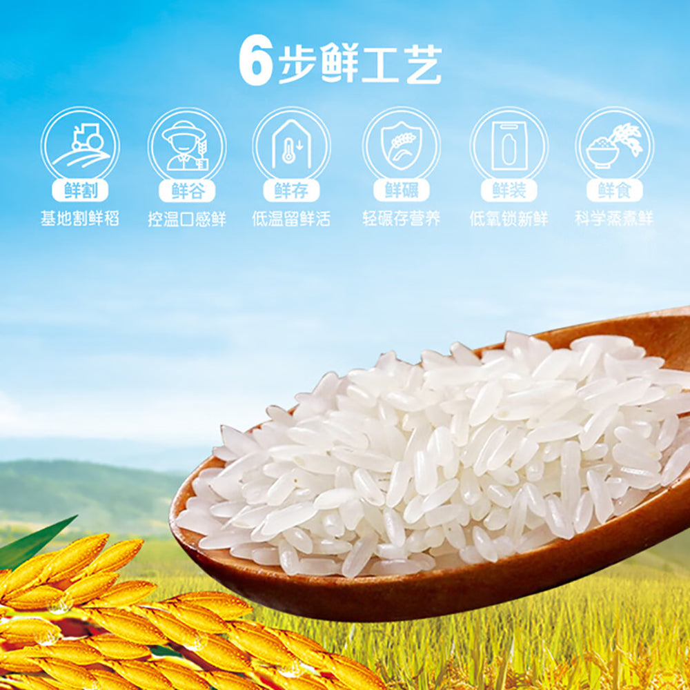 Jinlongyu-WKitchen-Fresh-Rice,-Microwave-Ready-in-2-Minutes---210g-1