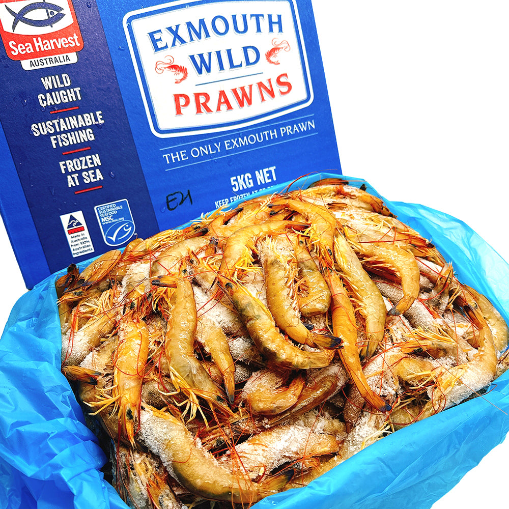 Exmouth-Wild-Caught-Prawns-U21/30---5kg-1