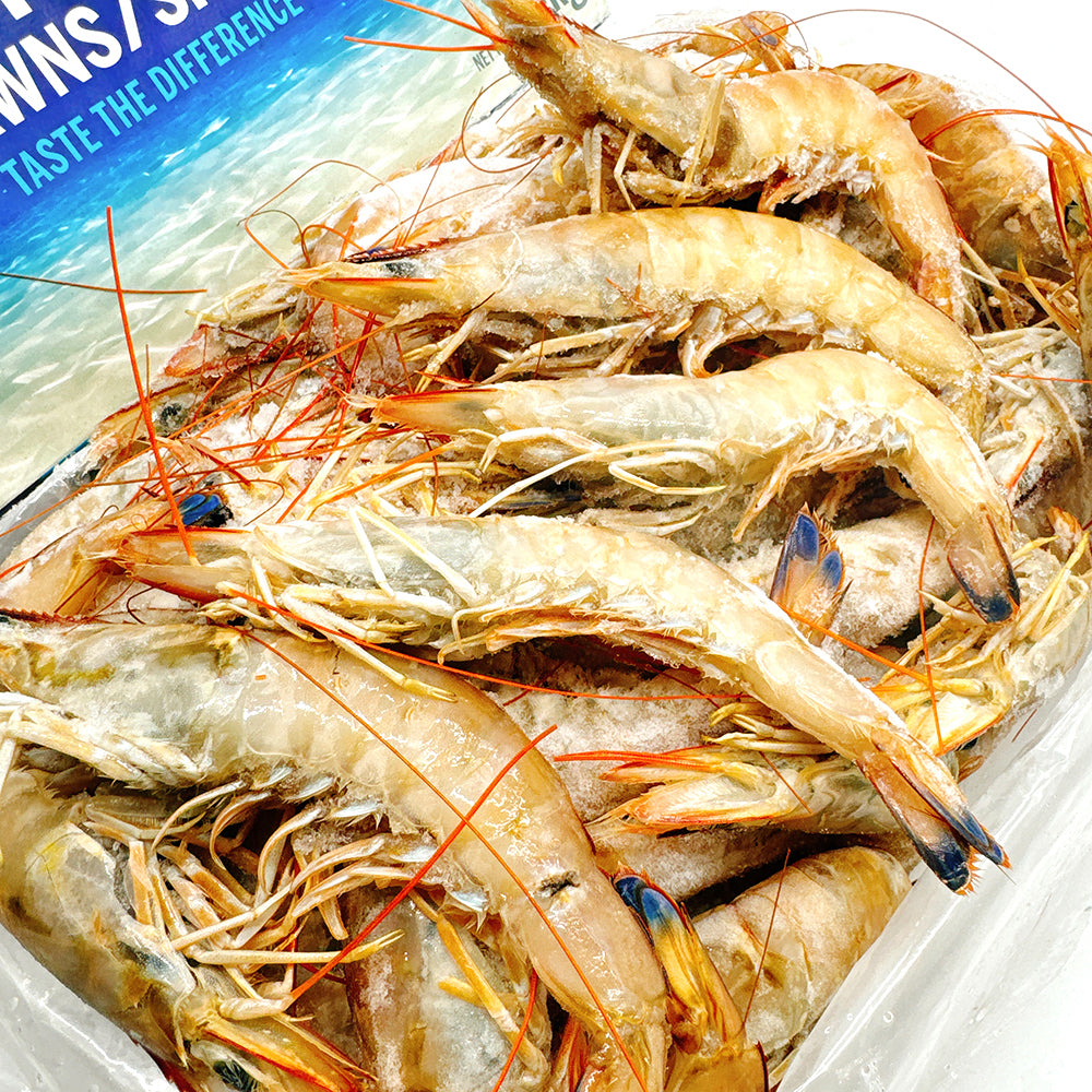 Ocean-Australia-Wild-Caught-Prawns-U10-20---3kg-1