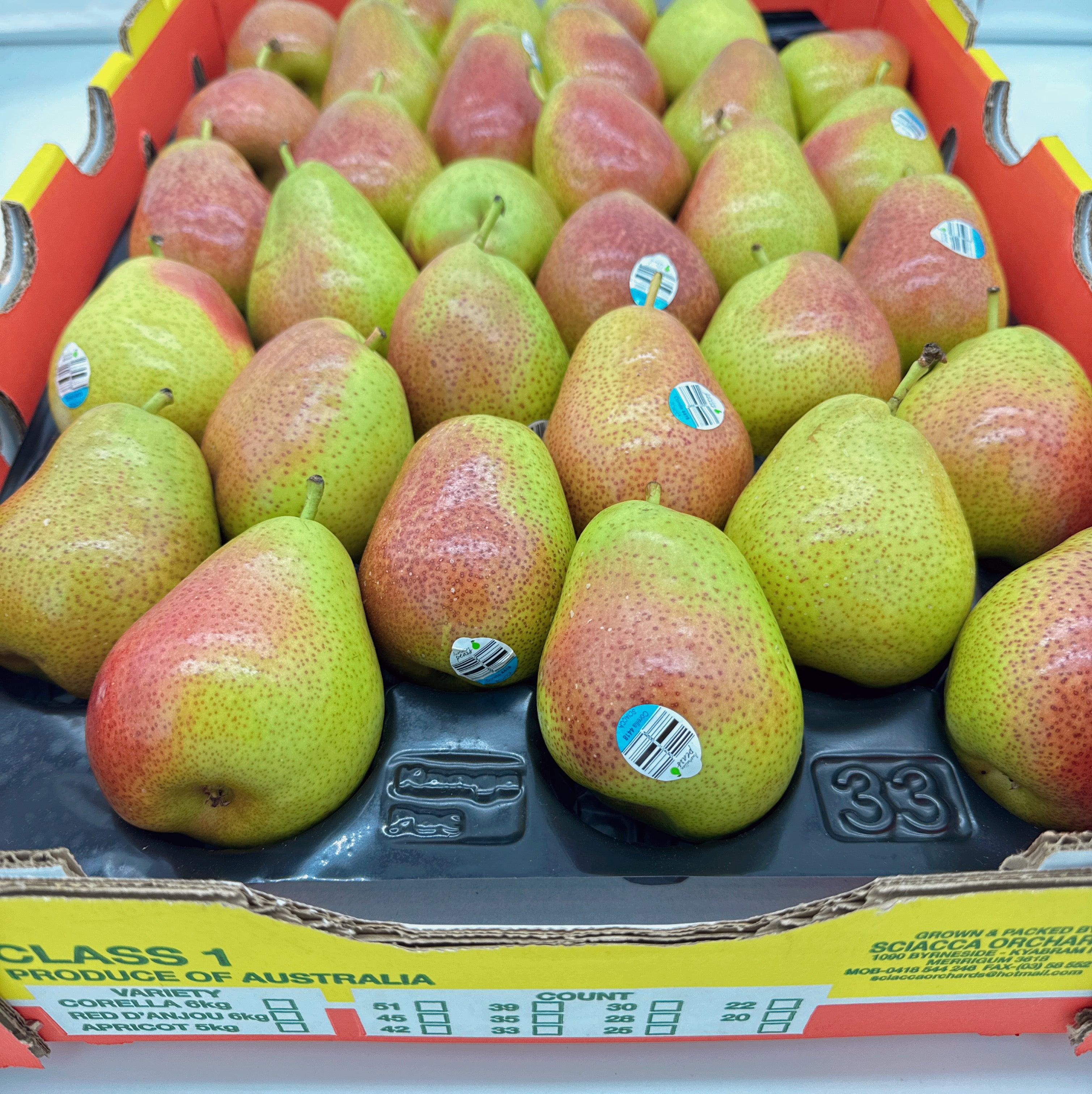 Corella-Sweet-Pears---0.9-1kg-1