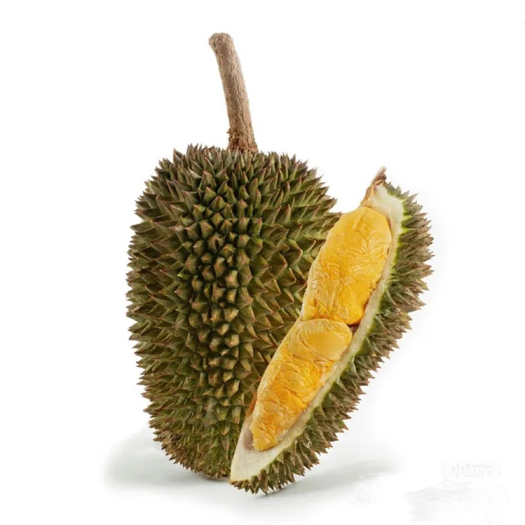 D163-Gourd-Durian-2.8-3kg-1