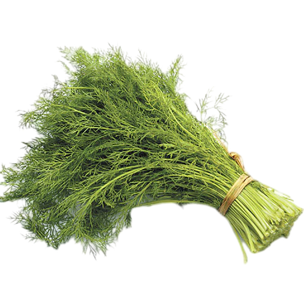 Fresh-Dill---1-Bundle-1