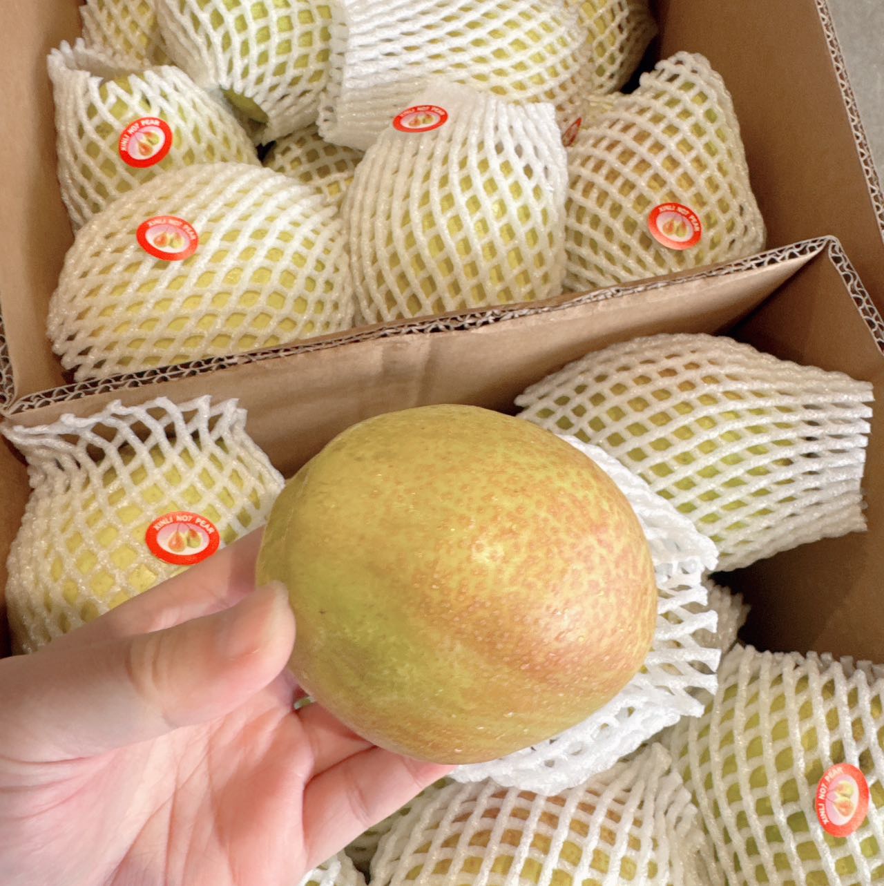 Chinese Imported Korla Fragrant Pears - Box of 7kg