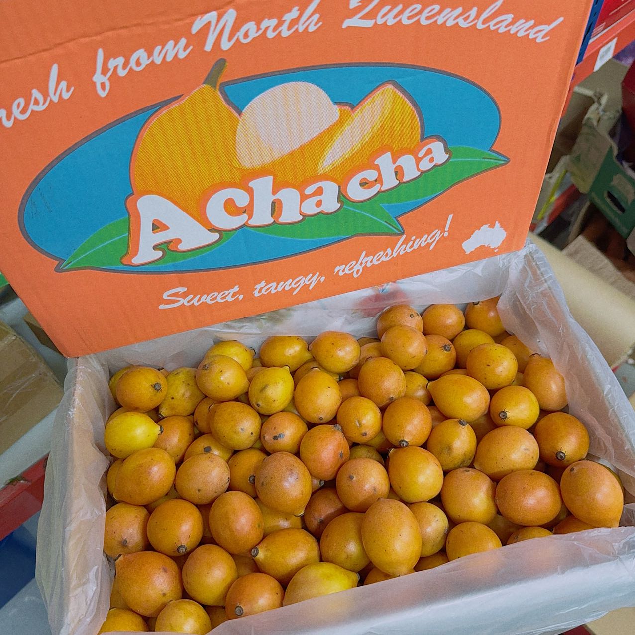 [Fresh]--Achacha-Golden-Mangosteen,-Medium-Size,-Approximately-5kg-1