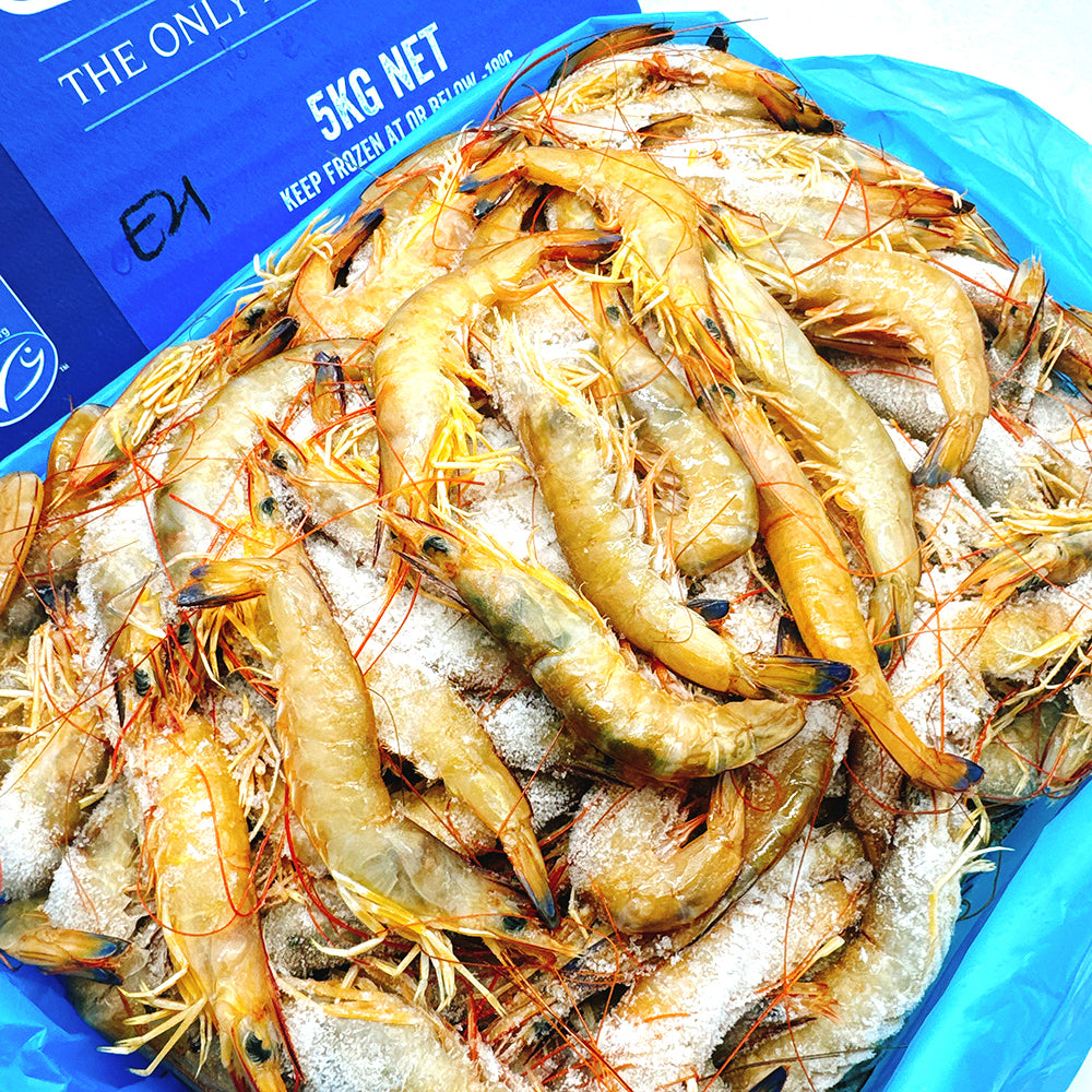 Exmouth-Wild-Caught-Prawns-U21/30---5kg-1