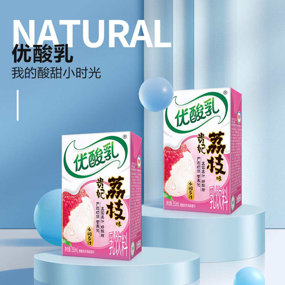 Yili-Probiotic-Drink-Lychee-Flavor---250ml-x-24-1