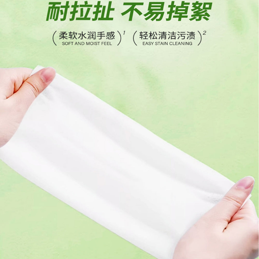 Hai's-Hainuo-Sanitary-Cleaning-Wipes---80-Sheets-1