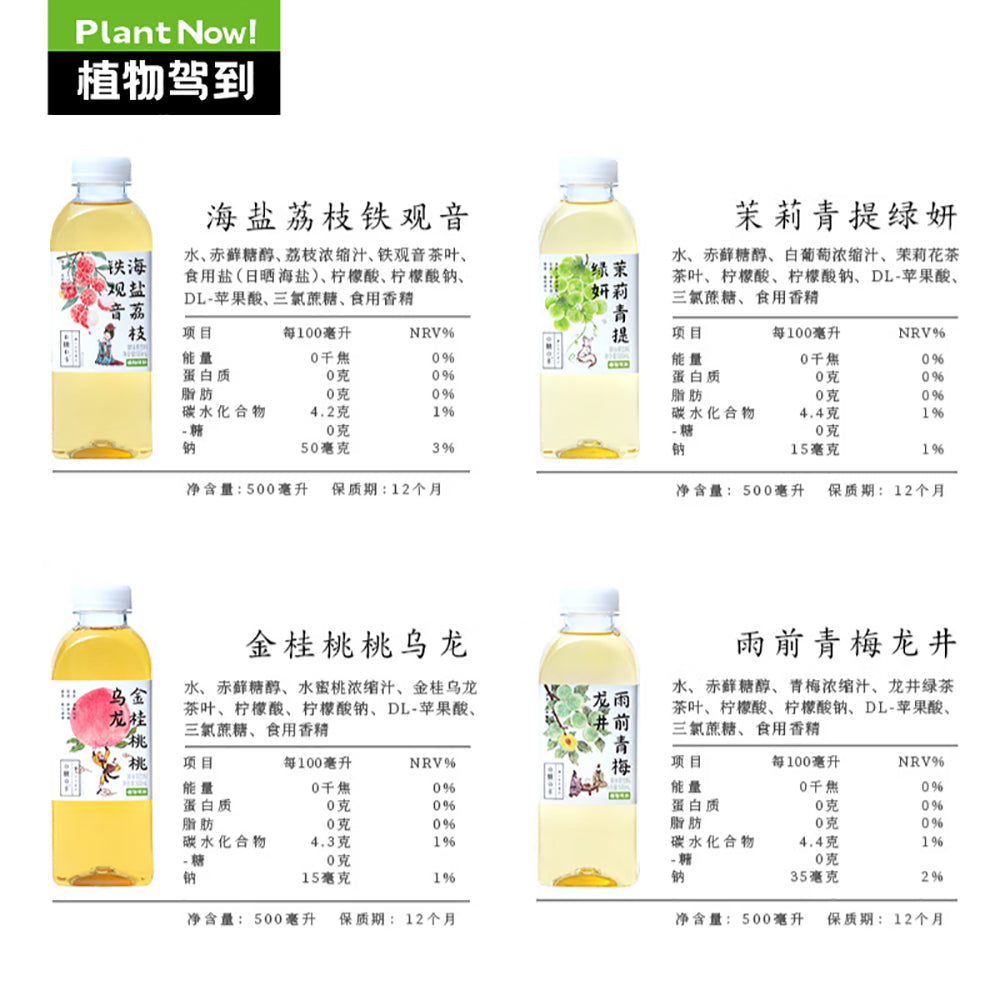 Plant-Arrival-Rain-Pre-Qingmei-Longjing-Tea,-Zero-Sugar,-Zero-Calorie---500ml-1