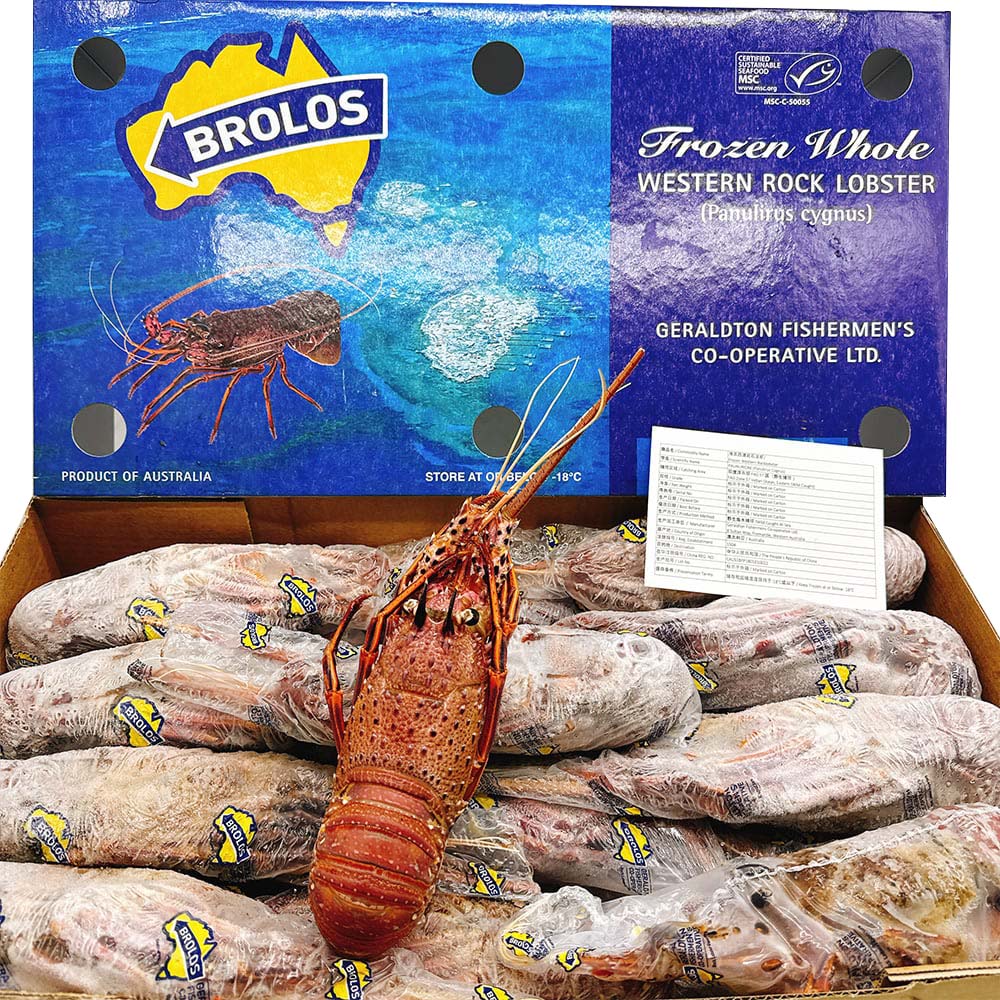 Brolos-Frozen-Whole-Western-Rock-Lobster---10kg-Box-(22-23-Pieces)-1