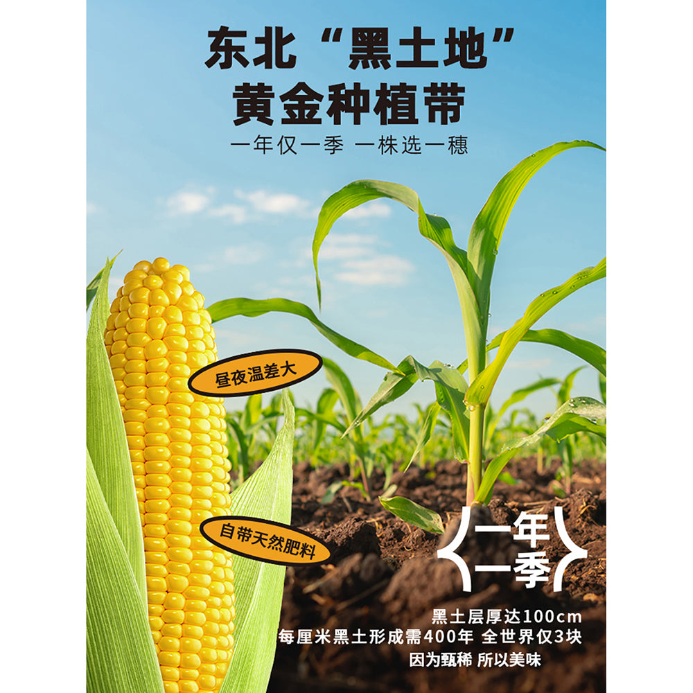 Huahetian-Sweet-Corn---200g-1