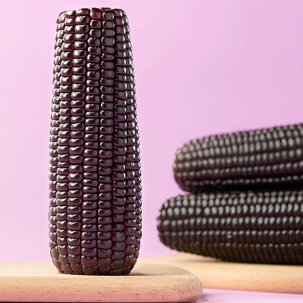 ShiYueDaoTian-Black-Glutinous-Corn---200g-1