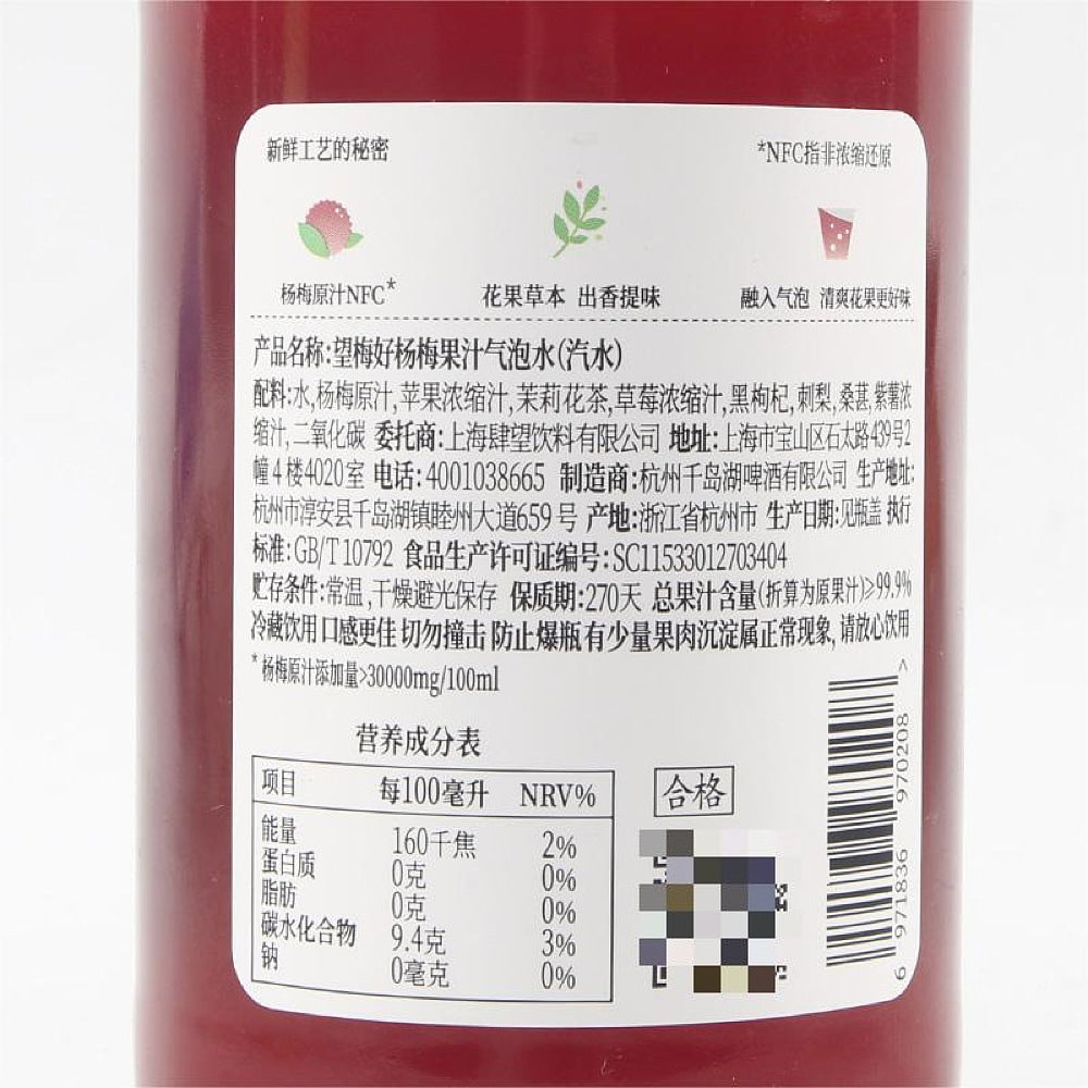 Haowangshui-Yangmei-Sparkling-Juice---300ml-1