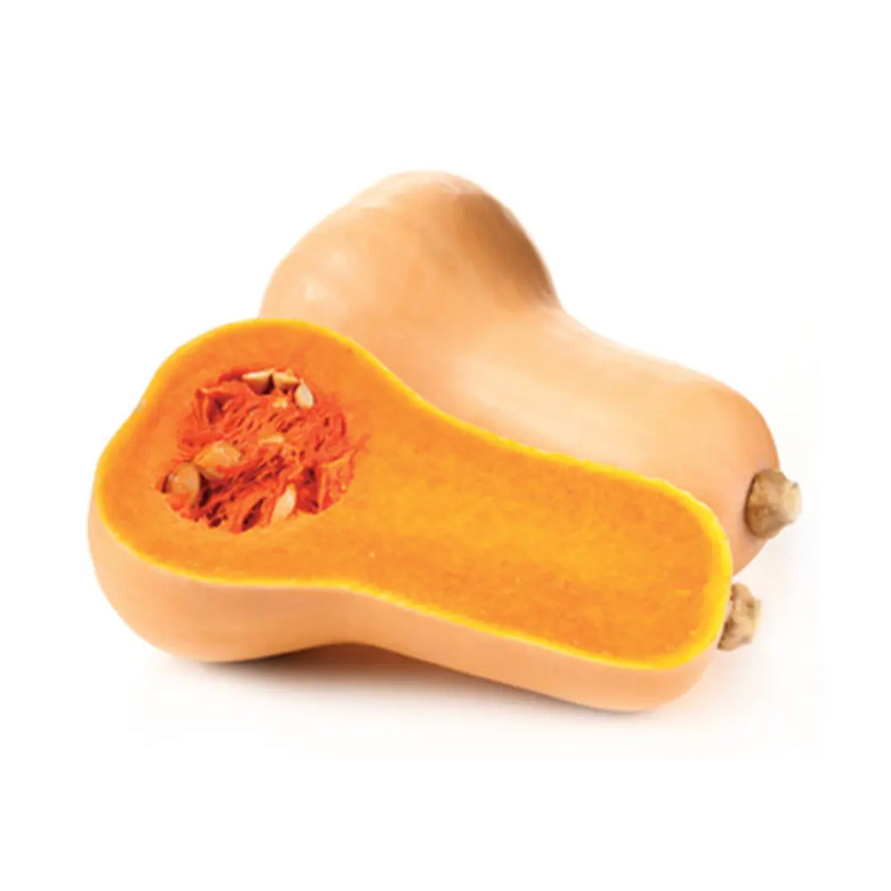 Butternut Squash - 1 Piece