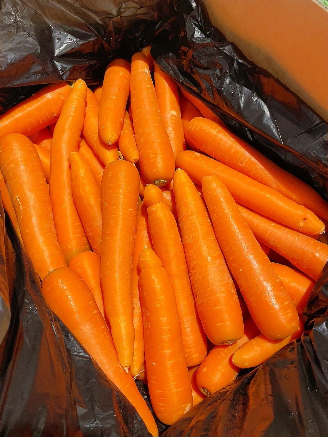 [Fresh]-Carrots-Approximately-1kg-1