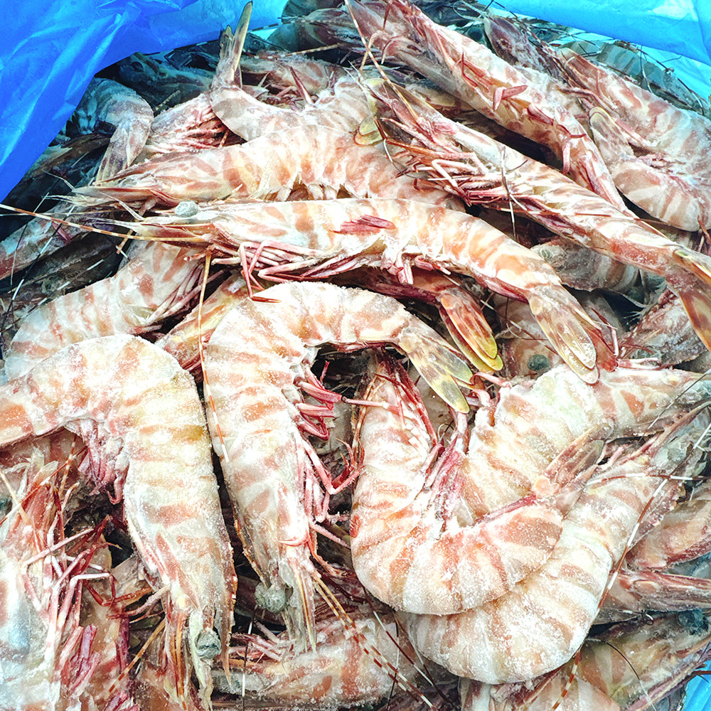 Tarni-Raw-Brown-Tiger-Prawns-Size-16/20---500g-1