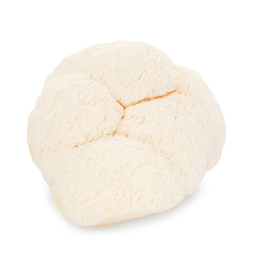 Fresh Lion's Mane Mushrooms - 200g