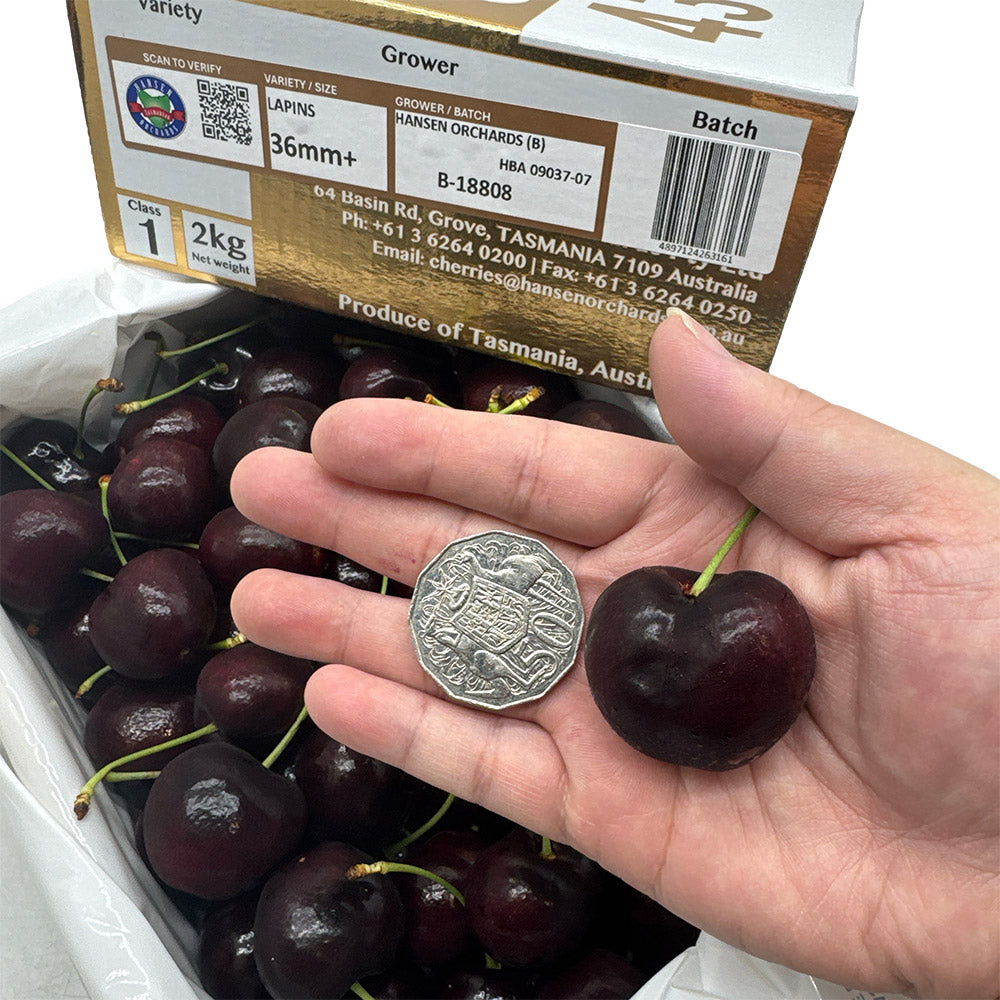 Tasmanian-Hansen-Lapin-Cherries-Gift-Box-36mm+---2kg-1