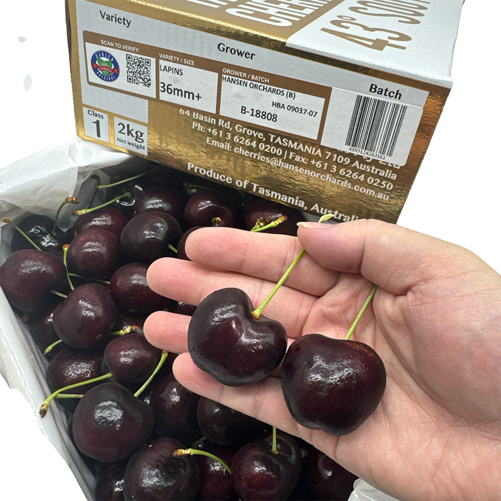 Tasmanian-Hansen-Lapin-Cherries-Gift-Box-36mm+---2kg-1