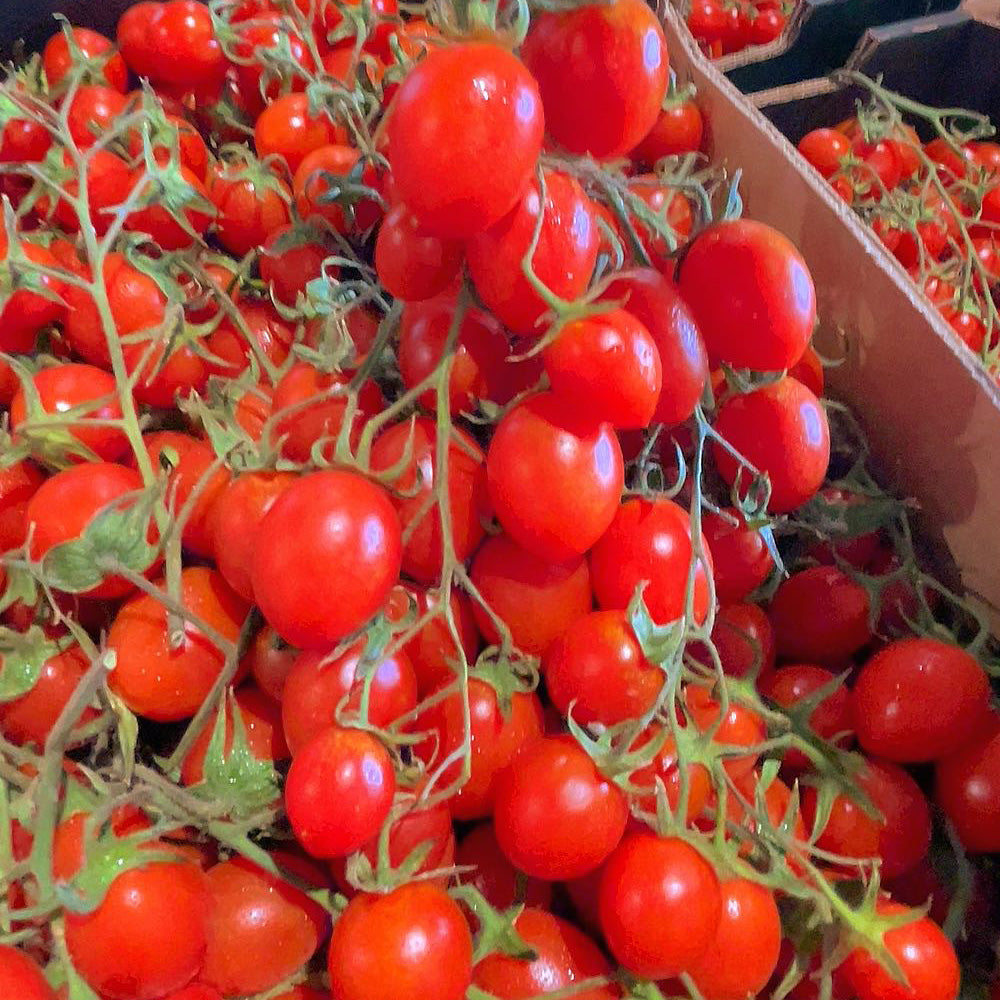 Super-Sweet-Roma-Cherry-Tomatoes---Box-of-4.8kg-1