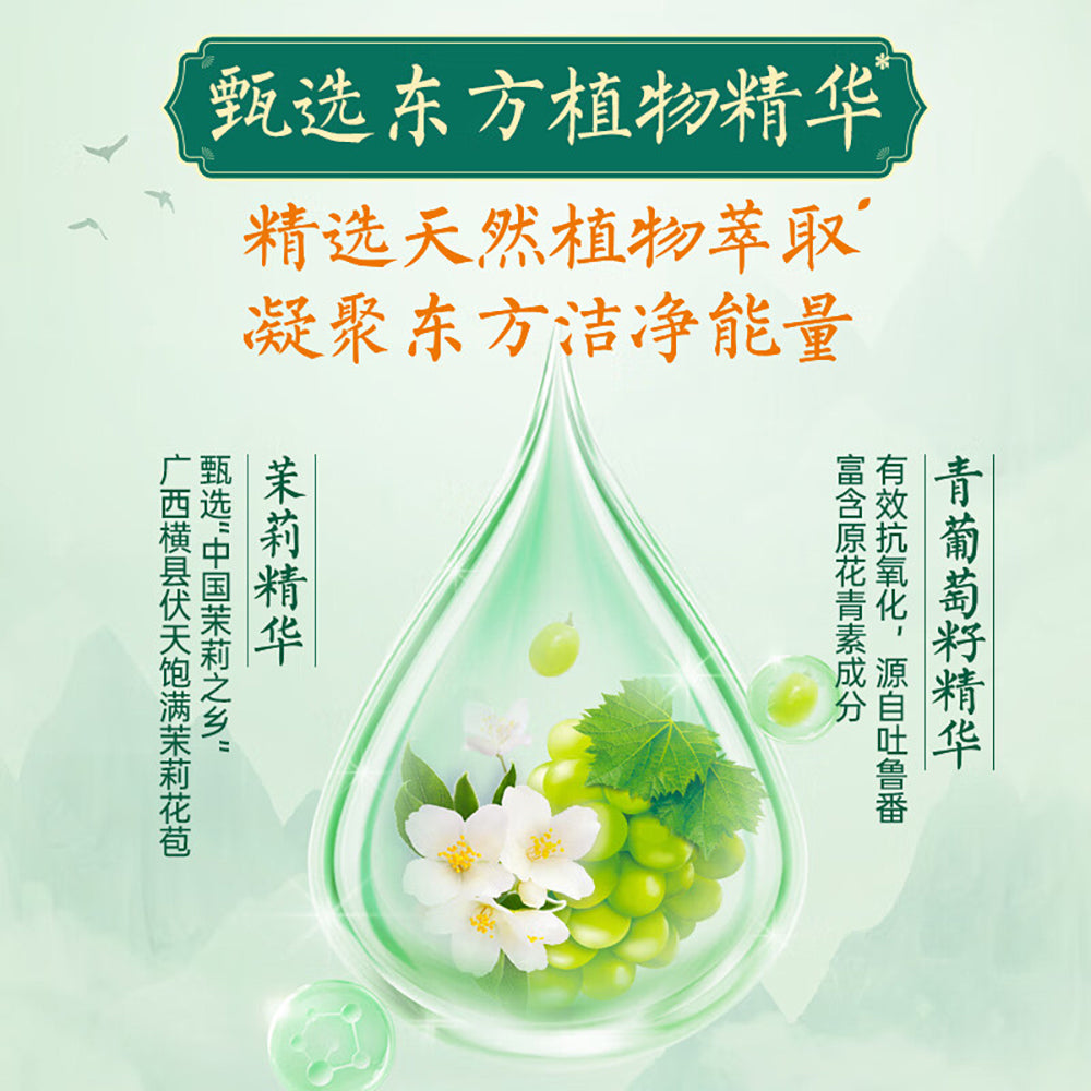 Libai-Green-Tea-Jasmine-Dishwashing-Liquid-488g-1