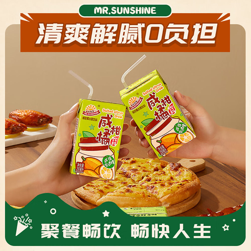 Mr.-Sunshine-Salted-Citrus-Drink---250ml-x-6-Boxes-1