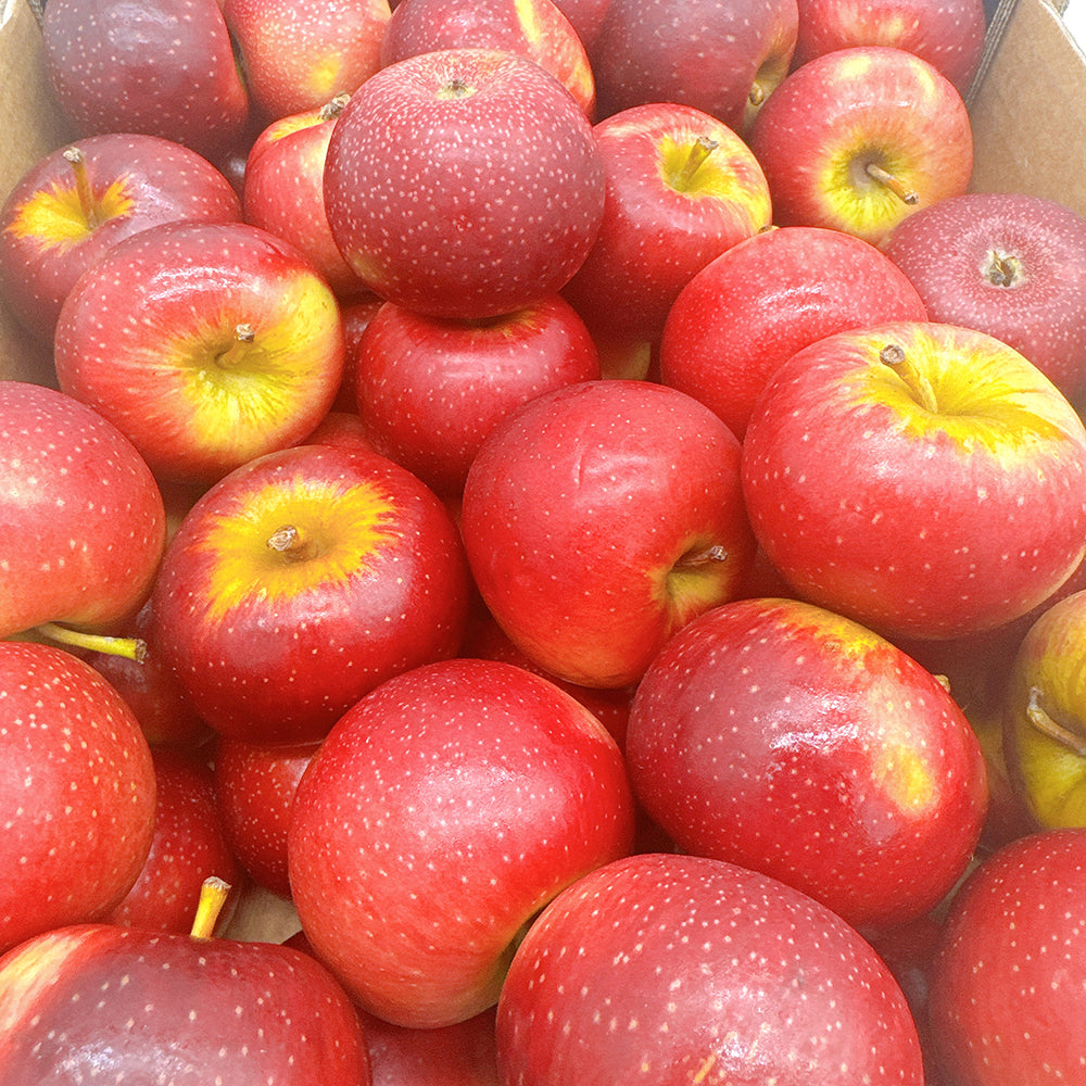 Baby-Bravo-Apples---Box-of-5kg-1