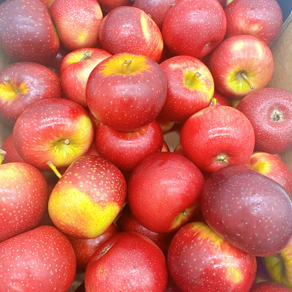 Baby-Bravo-Apples---Box-of-5kg-1