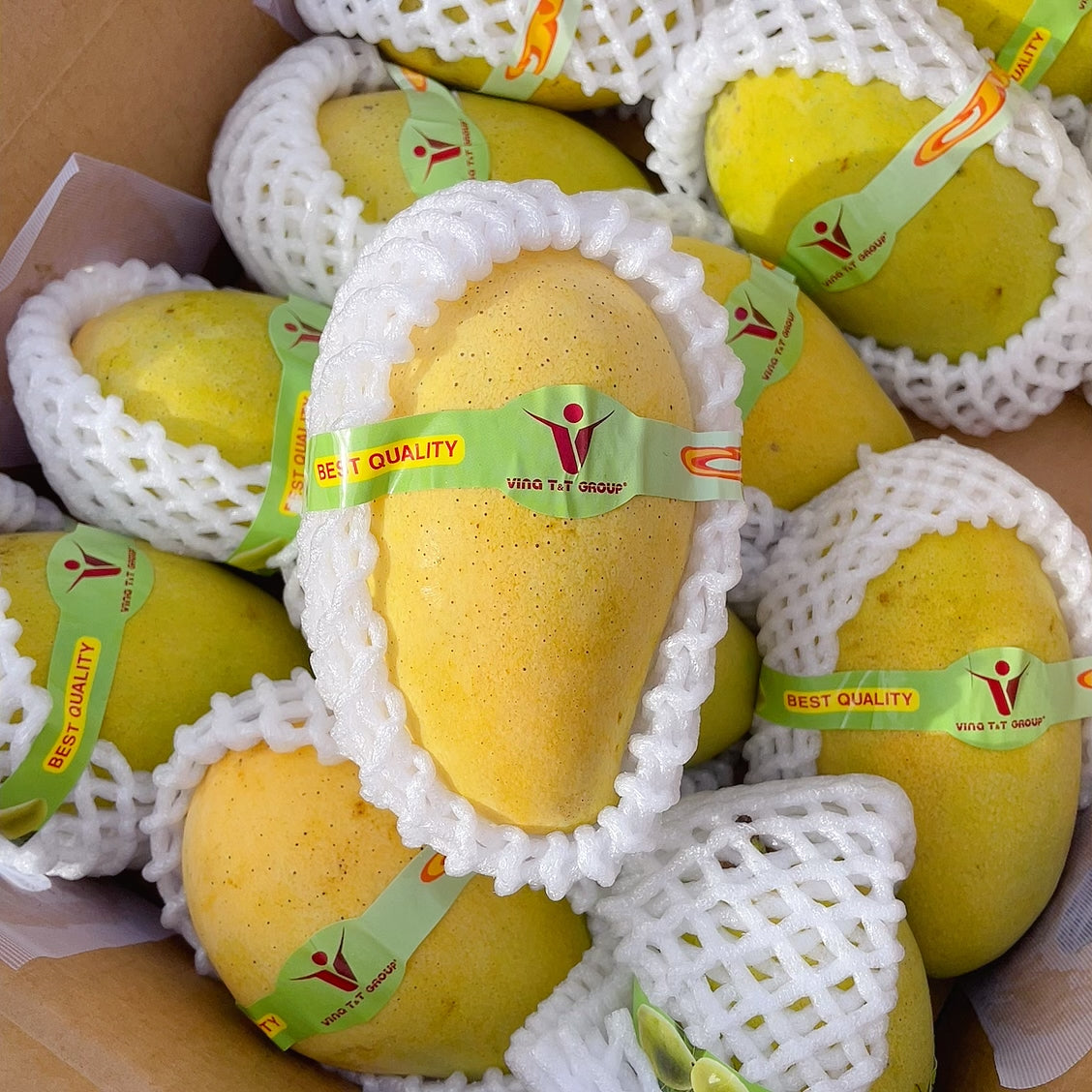 Vina-T&T-Group-Sweet-Mangoes-from-Vietnam---2-Pieces-1