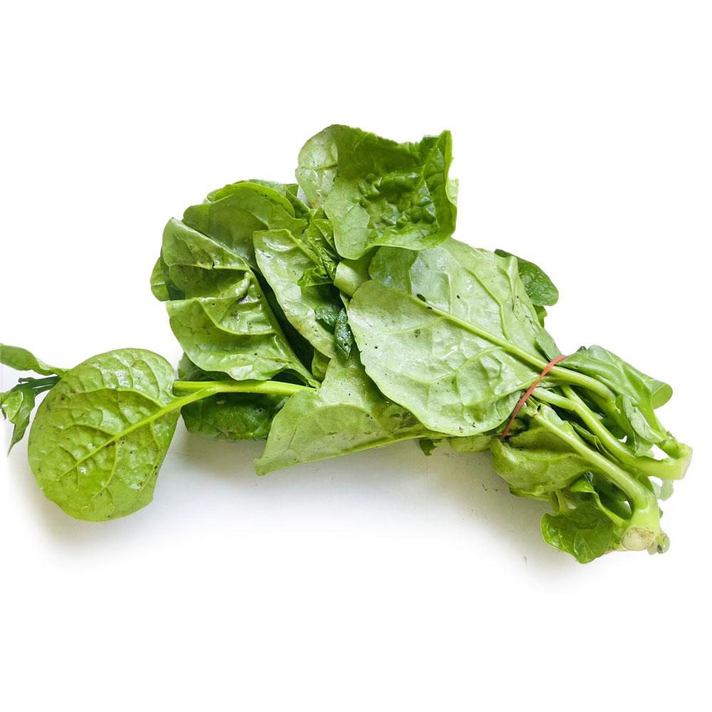 Fresh-Malabar-Spinach---1-Bundle -1