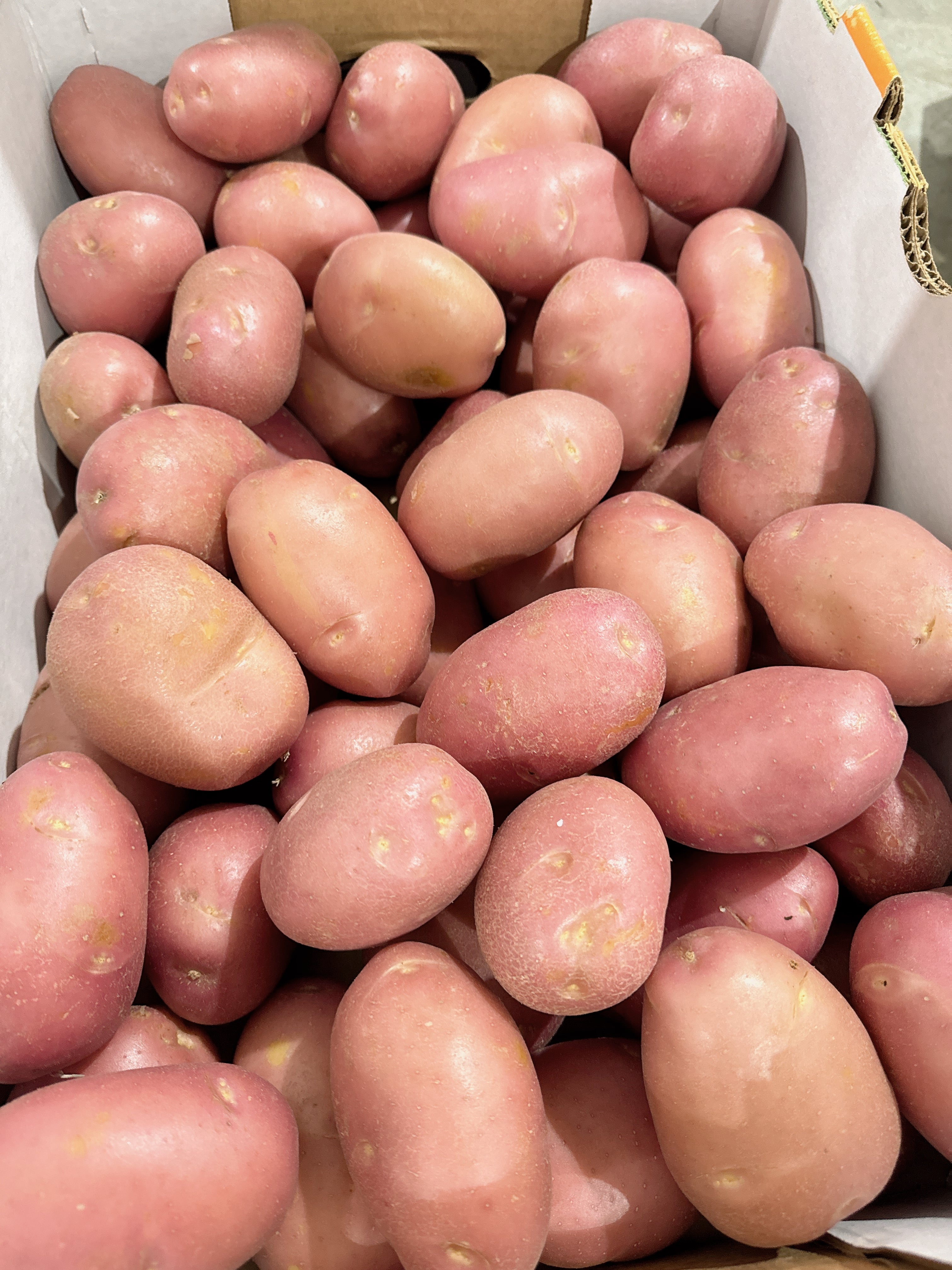 [Fresh]-Red-Skin-Potatoes-Approximately-1kg-1